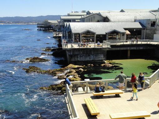Monterey Bay Aquarium