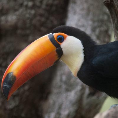 Santa Barbara Zoo