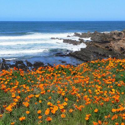 California State Parks