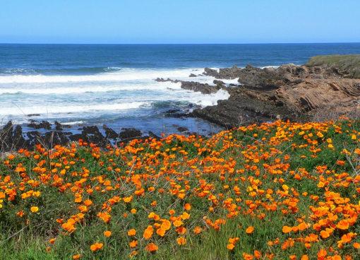 California State Parks