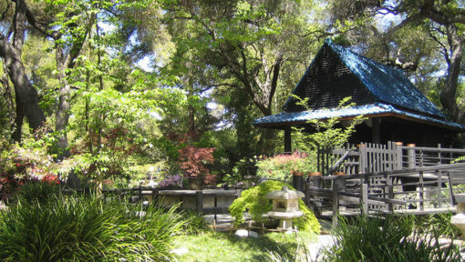 Descanso Gardens