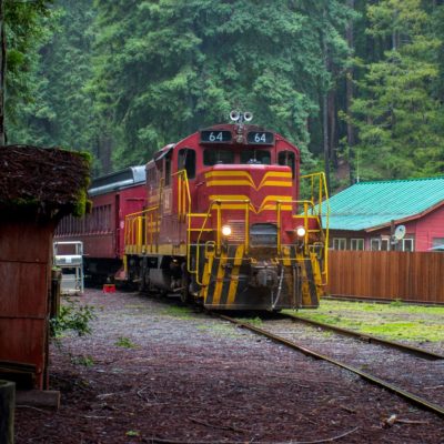 Wolf Tree Turn Skunk Train