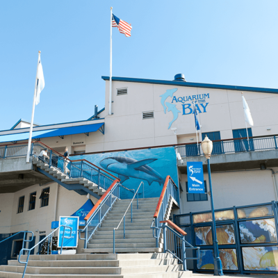 Aquarium of the Bay