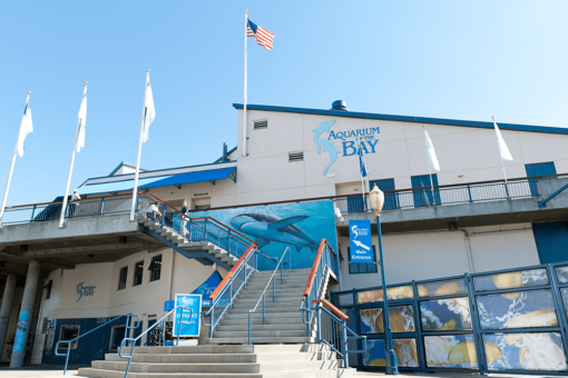 Aquarium of the Bay
