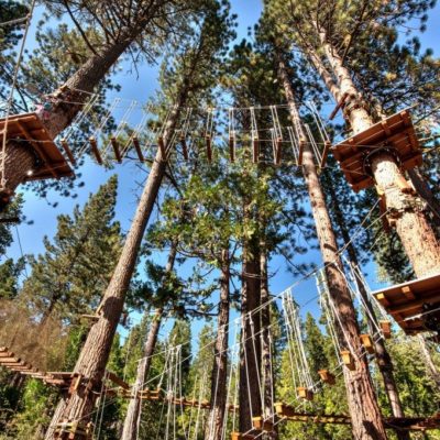 Tahoe Treetop Aerial Adventures
