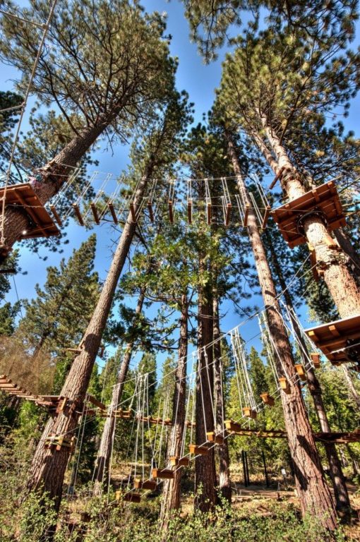 Tahoe Treetop Aerial Adventures