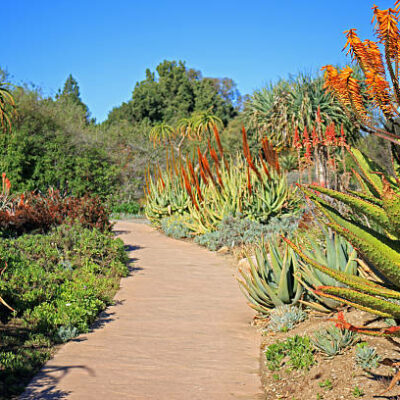 LA Arboretum