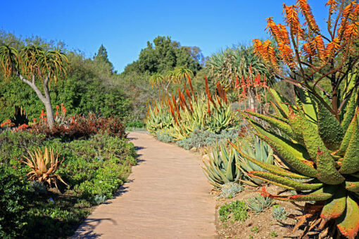 LA Arboretum