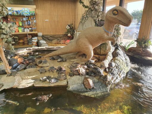 The Reptile Zoo
