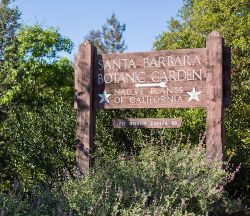 Santa Barbara Botanic Garden